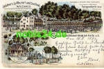 Halle Saale Waldhaus Litho Dolauer Haide o 1899