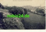 Croellwitz Halle Bergschenke und Burg *ca.1915