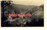 06493 Alexisbad *ca.1960