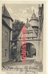 14827 Wiesenburg Schloss Mannechen Tor  *ca.1920