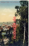 06618 Naumburg Saale o 25.10.1914