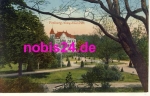 Freiberg Sachsen König Albert Park *ca.1915