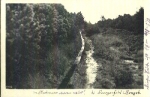 01773 Georgenfeld Hochmoor o 8.9.1953