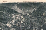 01814 Krippen mit Sendigs Villenkolonie Neu-Schandau o 9.1.1921