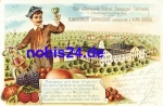 09306 Goppersdorf Litho Obstweinschanke o 1907