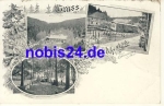 07607 Eisenberg Froschmuhle o 1914