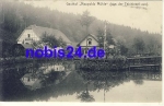 07607 Eisenberg Muhltal Naupoldsmuhle *ca.1915