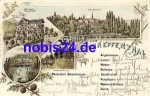 99880 Schnepfenthal Litho o 1898