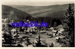 Wildenthal Gesamtansicht o 1938