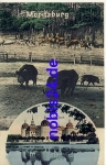 01468 Moritzburg game feeding castle o 1909