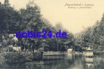01454 Liegau-Augustusbad Schwanenteich o 1909