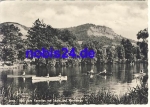 Jena paddling on the Saale o 1963