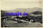 Nizni medzev o 1938