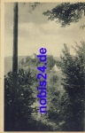 Usti n. Orl Burgansicht *ca.1950