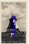 18225 Kuehlungsborn Windmill Cows o 1956