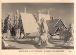 01773 Altenberg Waldschenke Altes Raupennest im Winter *ca. 1970