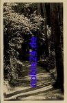 18225 Brunshaupten Helenensteig *ca.1950