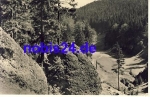 98666 Fehrenbach Im Eselsgrund o 1965