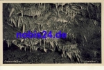 08548 Syrau Dragon's Cave *ca.1950