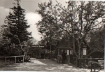 01773 Zinnwald-Georgenfeld, Hochmoor *ca. 1980