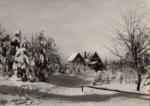 01773 Altenberg, Altes Raupennest o 2.2.1967