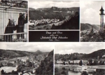 01814 Bad Schandau Bären vom 18.5.1978