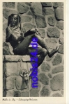 23879 Moelln Eulenspiegelbrunnen *ca.1924