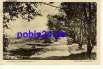23946 Boltenhagen Strandpromenade o 1926