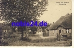 18556 Wiek Rügen Dorfpartie *ca.1920