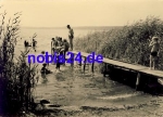 19395 Plau am See Badestelle *ca.1960
