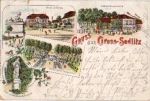 01809 Gross-Sedlitz Farblitho o 4.7.1898