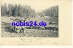 Switzerland - military in the field *ca.1901