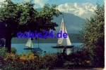 Am Thunersee Bluemlisalp o ca.1960