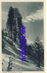 Davos winter landscape *ca.1930