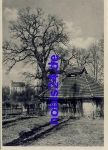 01326 Schoenfeld Kirche *ca.1950