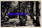 75323 Wildbad Enzpromenade *ca.1930