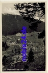 75323 Wildbad *ca.1935