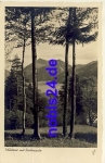 83727 Schliersee Brecherspitz o ca.1938