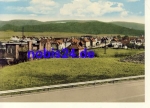 38723 Muenchehof *ca.1980