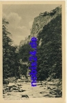 06502 Thale  Teufels brücke *ca.1930