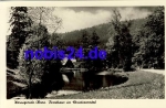 38855 Wernigerode Forsthaus *ca.1955