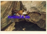 08548 Syrau dragon cave *ca.1958