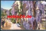 Capri Via Camerelle  *ca. 1910