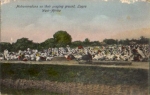 Nigeria Lagos Mohammedans on their praying ground *ca.1910