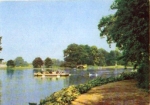 06786 Wörlitz landscape park, large lake with a view of the palm house * approx. 1970
