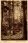 06722 Droyssig Staudenhain, * ca. 1920