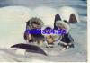Sandmann Eskimos 6195 of the DFF of the GDR * 1969