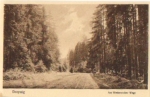 06722 Droyssig Am Wetterzeuber Wege * ca. 1930