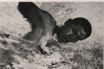 Olympische Spiele 1936 Terada, Sieger im 1500m-Freistilschwimmen