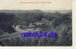 08491 Reichenbach Vogtland Schwarzhammermuhle o 1917